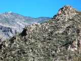 Sabino Canyon Ridge